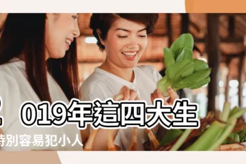 【2019年財運最不好生肖】2019年這四大生肖特別容易犯小人 |2019年 |最不差錢的生肖 |