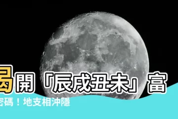 【地支辰戌醜未】揭開「辰戌醜未」富翁密碼！地支相沖隱藏驚人財富玄機