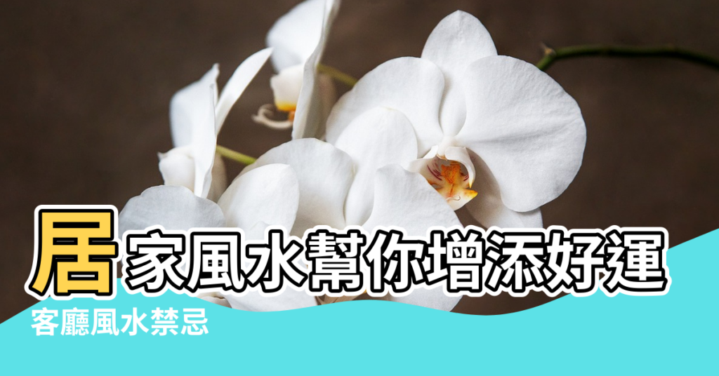 【門對沙發風水】居家風水幫你增添好運勢 |客廳風水禁忌 |沙發別亂擺 |