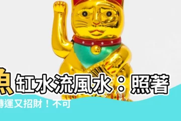 【魚缸水流風水】魚缸水流風水：照著做轉運又招財！不可錯過