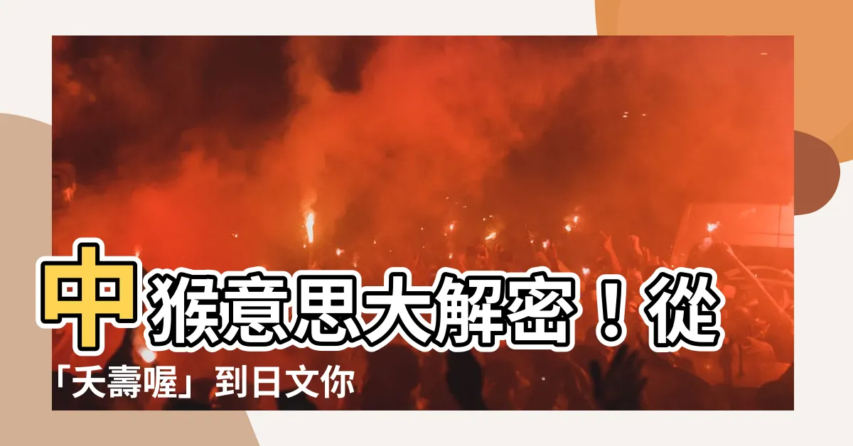 【中猴意思】中猴意思大解密！從「夭壽喔」到日文你都學得到！