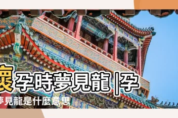 【孕婦夢見龍入懷中】懷孕時夢見龍 |孕婦夢見龍是什麼意思 |孕婦夢見龍是什麼意思好不好 |