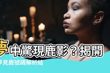 【夢見鹿號碼】夢中驚現鹿影？揭開「夢見鹿號碼解析結果」！