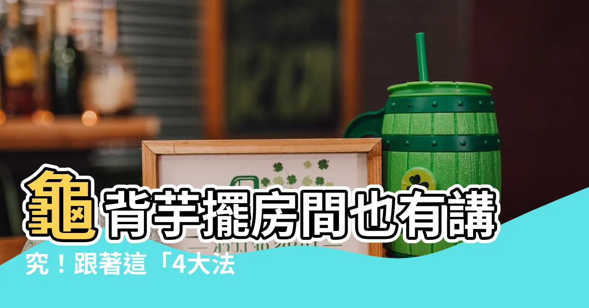 【龜背芋放房間】龜背芋擺房間也有講究！跟著這「4大法則」淨化空氣、旺宅運