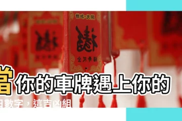 【車牌胸及】當你的車牌遇上你的生日數字，這吉凶組合預示著什麼？