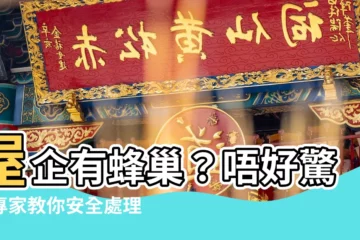 【屋企有蜂巢】屋企有蜂巢？唔好驚！專家教你安全處理蜂巢