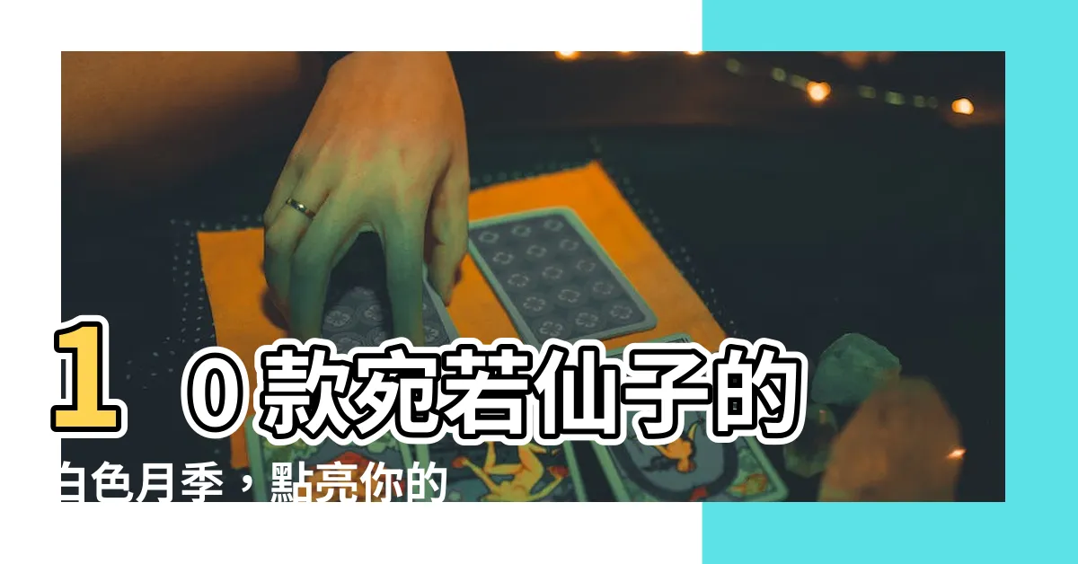 【白色月季】10 款宛若仙子的白色月季，點亮你的花園！