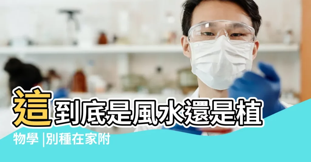 這到底是風水還是植物學 |別種在家附近 |陰樹進門 |【陰樹種類】