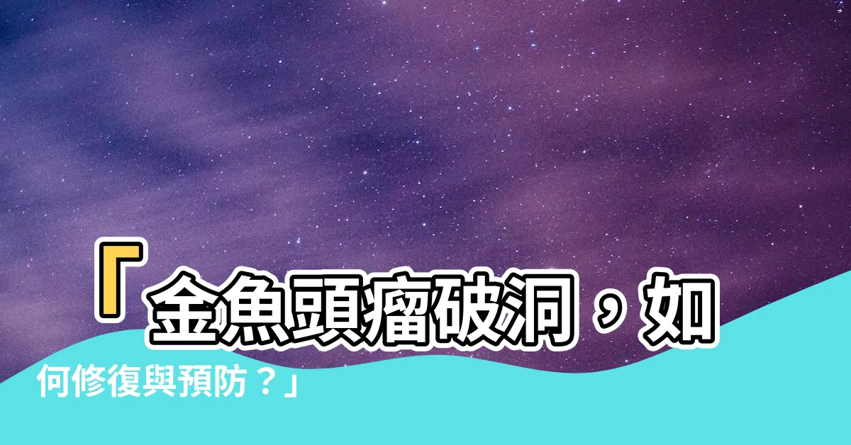 【金魚頭瘤破洞】「金魚頭瘤破洞，如何修復與預防？」
