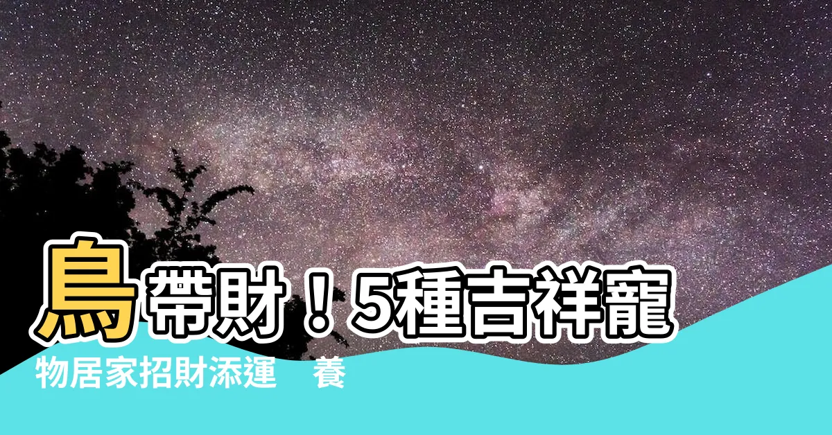 【鳥帶財】鳥帶財！5種吉祥寵物居家招財添運　養鳥注意事項報你知