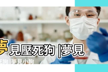 【夢見一隻壓死的狗】夢見壓死狗 |夢見壓死狗 |夢見小狗被車壓死 |