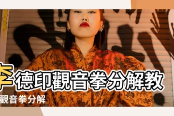 【第二道觀音拳】李德印觀音拳分解教學 |觀音拳分解 |