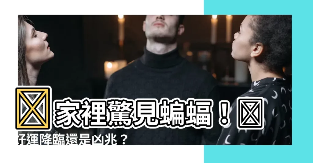 【蝙蝠出現在家裡】😨家裡驚見蝙蝠！😱好運降臨還是凶兆？😱😱😱