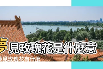 【夢到好多玫瑰花】夢見玫瑰花是什麼意思夢見玫瑰花有什麼預兆 |夢見玫瑰花 |夢見很多盛開的玫瑰花有什麼徵兆 |