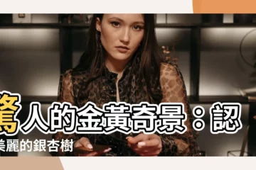 【銀杏樹】驚人的金黃奇景：認識美麗的銀杏樹