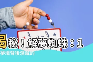 【解夢 蜘蛛】揭秘！解夢蜘蛛：10大夢境背後潛藏的訊息