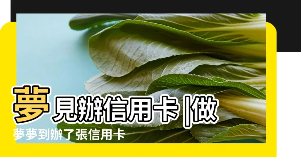 夢見辦信用卡 |做夢夢到辦了張信用卡 |夢見信用卡 |【做夢夢到辦理信用卡】