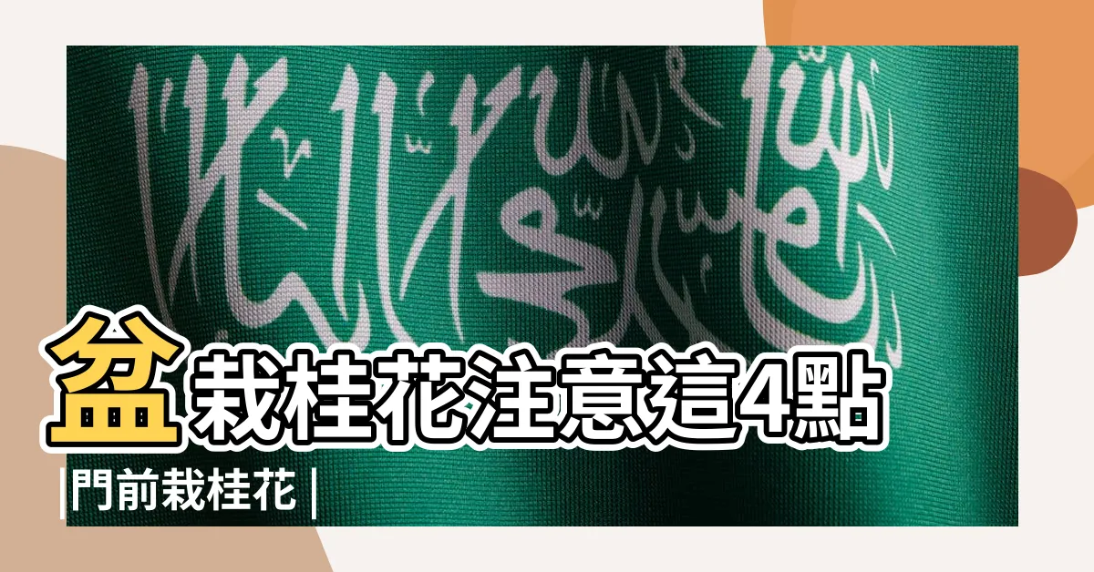 【桂花前陽台】盆栽桂花注意這4點 |門前栽桂花 |486先生 |