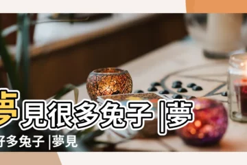 【夢見好多好多兔子】夢見很多兔子 |夢到好多兔子 |夢見好多兔子 |