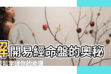【易經命盤怎麼看】解開易經命盤的奧秘：輕鬆掌握你的命運軌跡
