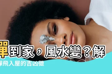 【蟬到家】蟬到家，風水變？解密蟬飛入屋的吉凶徵兆！