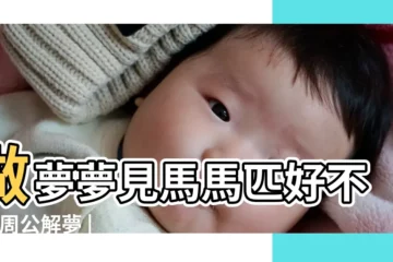 【周公解夢夢見豬和馬】做夢夢見馬馬匹好不好 |周公解夢 |周公解夢 |