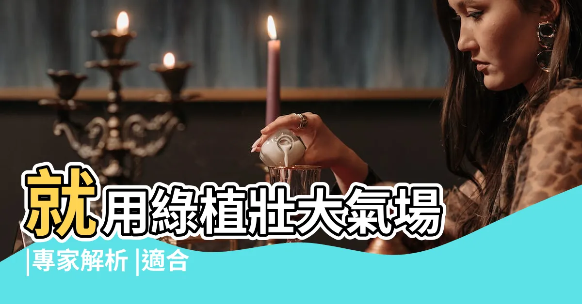 【客廳盆栽】就用綠植壯大氣場 |專家解析 |適合客廳擺放的 |