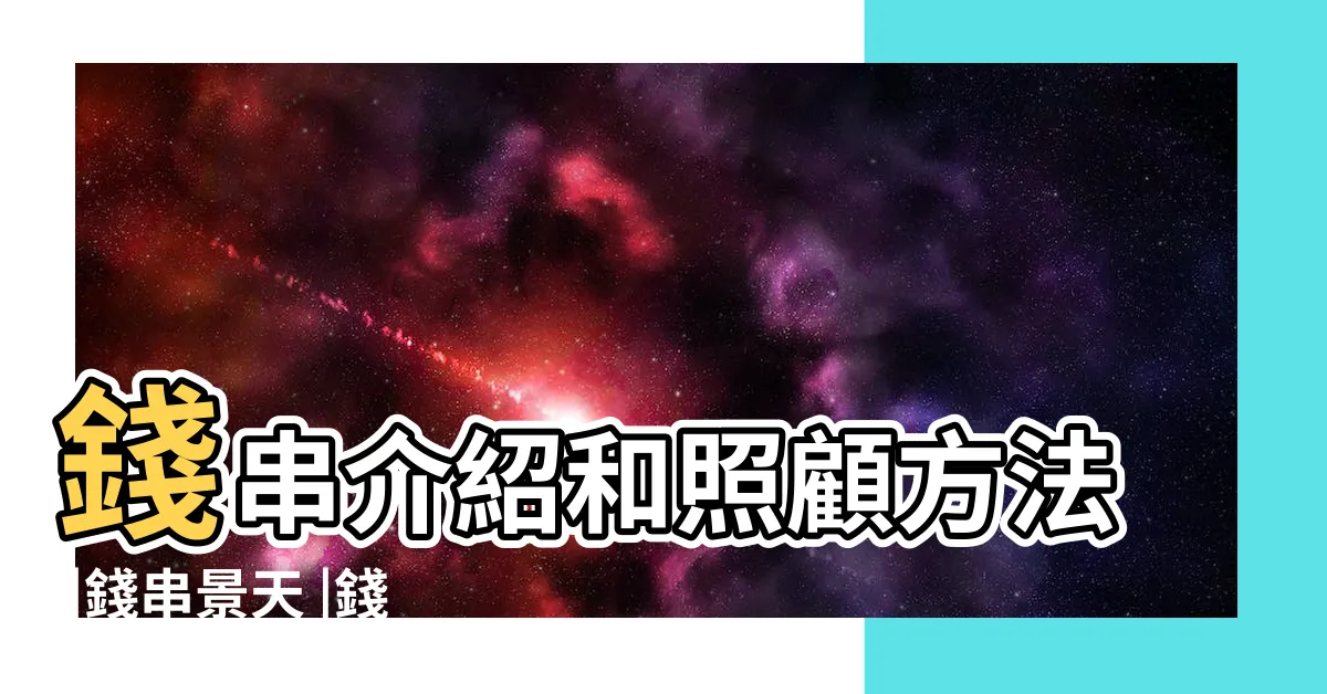 【錢串景天】錢串介紹和照顧方法 |錢串景天 |錢串景天日常養護照顧方法 |