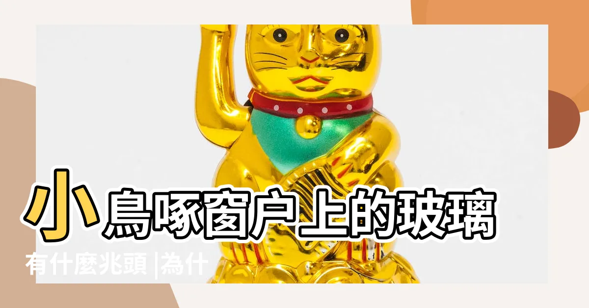 【鳥啄窗户】小鳥啄窗户上的玻璃有什麼兆頭 |為什麼鳥老是來啄我們家窗玻璃 |小鳥敲窗玻璃有何寓意 |