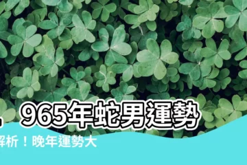 【1965年蛇男】1965年蛇男運勢全解析！晚年運勢大公開