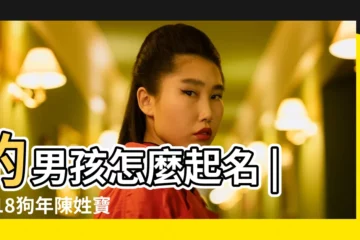 【2018狗年男寶寶陳】的男孩怎麼起名 |2018狗年陳姓寶寶起名字大全 |2018屬狗姓 |