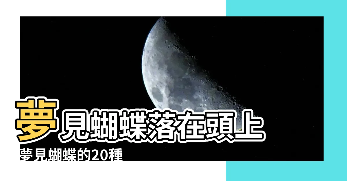 【夢到蝴蝶停在臉上】夢見蝴蝶落在頭上 |夢見蝴蝶的20種解讀 |怎麼趕都趕不走 |