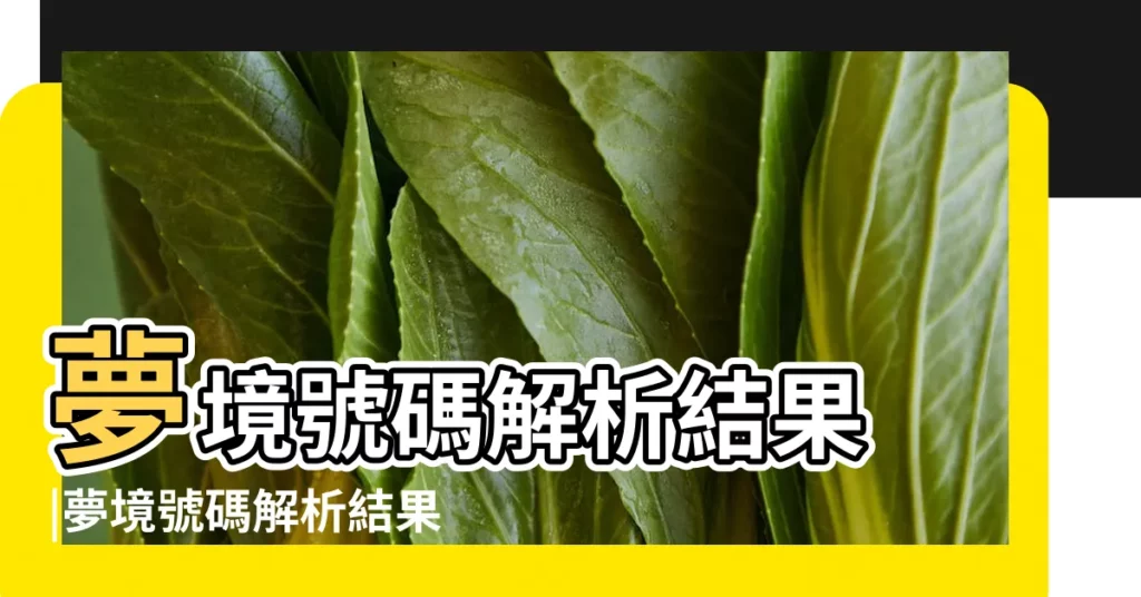 夢境號碼解析結果 |夢境號碼解析結果 |夢見什麼 |【夢見小侄女給我灑一身尿】
