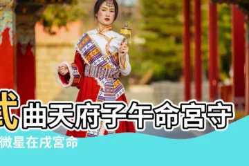 【武曲天府在子午 144】武曲天府子午命宮守 |紫微星在戌宮命宮在午主星為武曲 |144類星盤分析 |