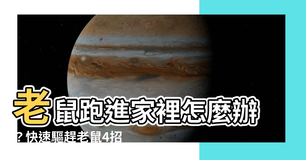【老鼠跑進家裡怎麼辦】老鼠跑進家裡怎麼辦？快速驅趕老鼠4招，一招見效！
