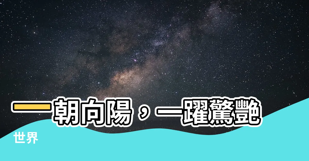 【一朝向陽】一朝向陽，一躍驚艷世界