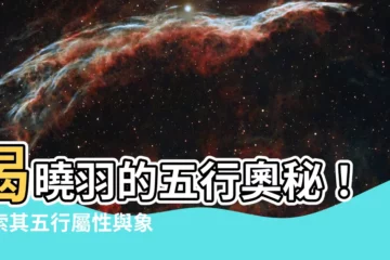 【羽的五行】揭曉羽的五行奧秘！探索其五行屬性與象徵意義