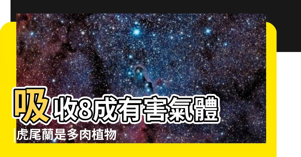 【虎尾蘭功能】吸收8成有害氣體 |虎尾蘭是多肉植物嗎 |中藥虎尾蘭 |