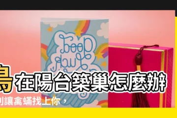 【鳥在陽台築巢怎麼辦】鳥在陽台築巢怎麼辦？別讓禽蟎找上你，驅鳥秘方一次報你知