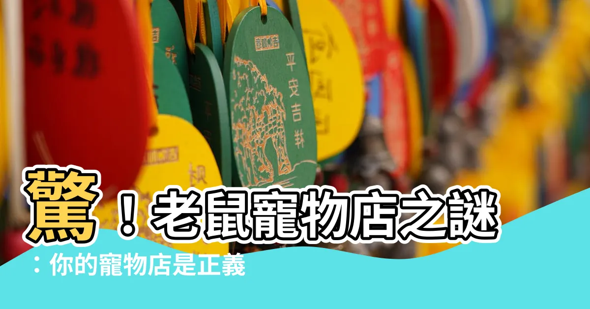 【老鼠寵物店】驚！老鼠寵物店之謎：你的寵物店是正義還是邪惡？