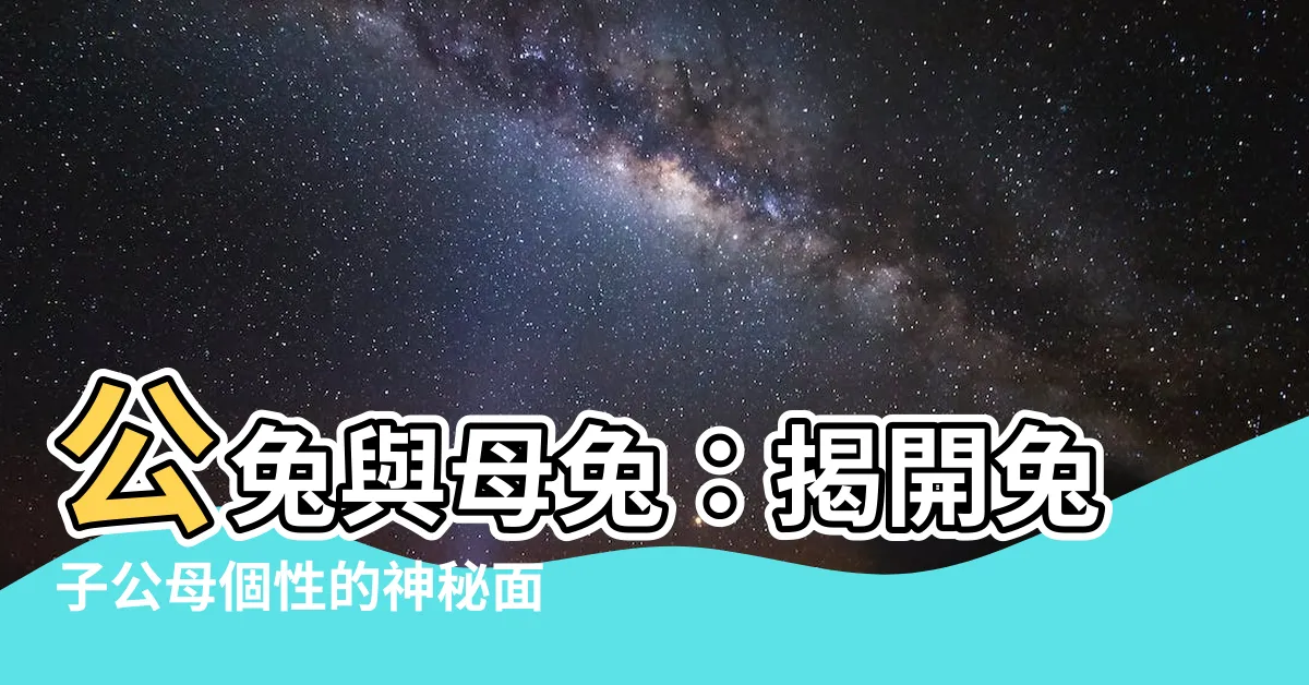 【兔子公母個性】公兔與母兔：揭開兔子公母個性的神秘面紗
