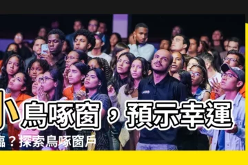 【鳥啄窗户】小鳥啄窗，預示幸運降臨？探索鳥啄窗户的神秘兆象