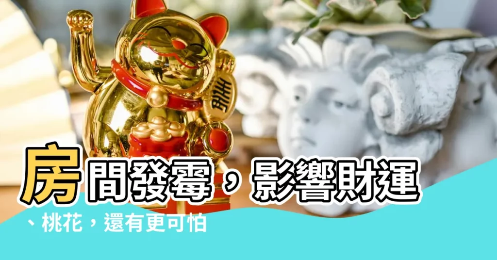 【房間發黴風水】房間發黴，影響財運、桃花，還有更可怕的...