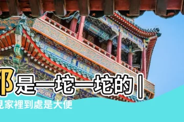 【夢到院子裏好多大便】都是一坨一坨的 |夢見家裡到處是大便 |夢見很多糞便 |