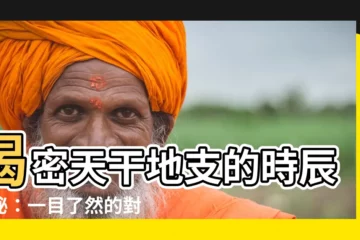 【天干地支 時辰】揭密天干地支的時辰奧秘：一目瞭然的對照指南