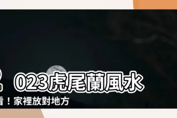 【虎尾蘭風水 2023】2023虎尾蘭風水必看！家裡放對地方旺運避厄難