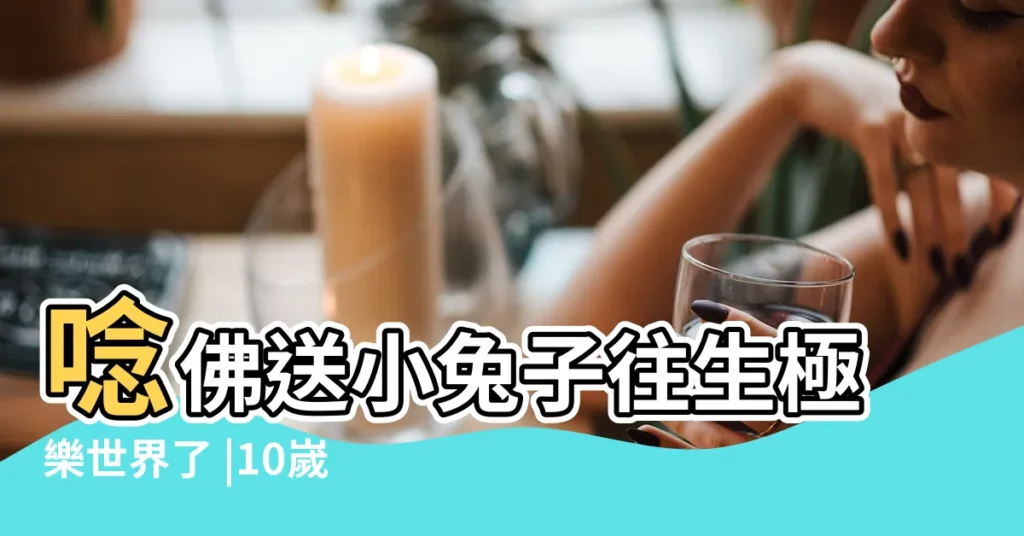 唸佛送小兔子往生極樂世界了 |10嵗女兒的唸佛感應故事 |の志向性 |【老人説夢見雪要死人】