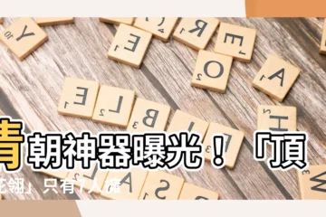 【頂戴花翎意思】清朝神器曝光！「頂戴花翎」只有7人擁有，究竟有多稀罕？