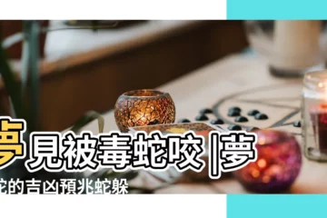 【夢見被蛇咬周公解夢什麼意思是什麼意思】夢見被毒蛇咬 |夢見蛇的吉凶預兆蛇躲在 |將會疾病纏身 |