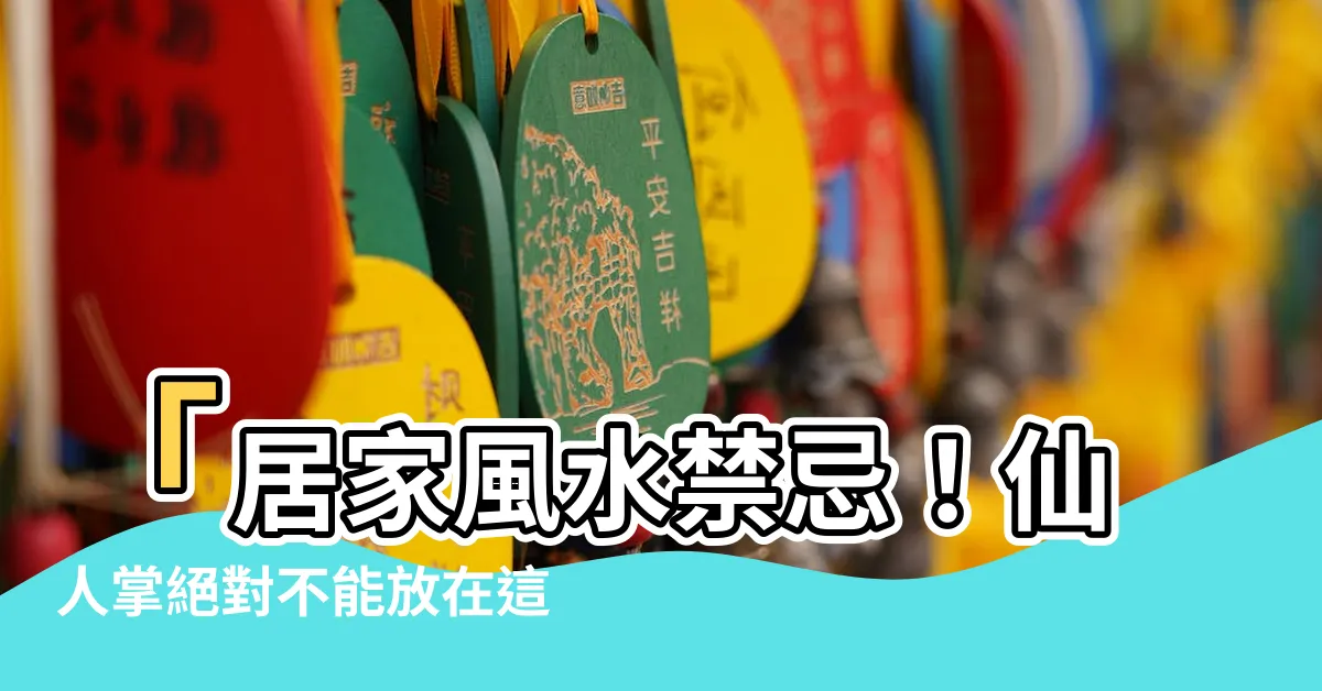 【仙人掌不能放哪裡】「居家風水禁忌！仙人掌絕對不能放在這裡，你家知道嗎？」